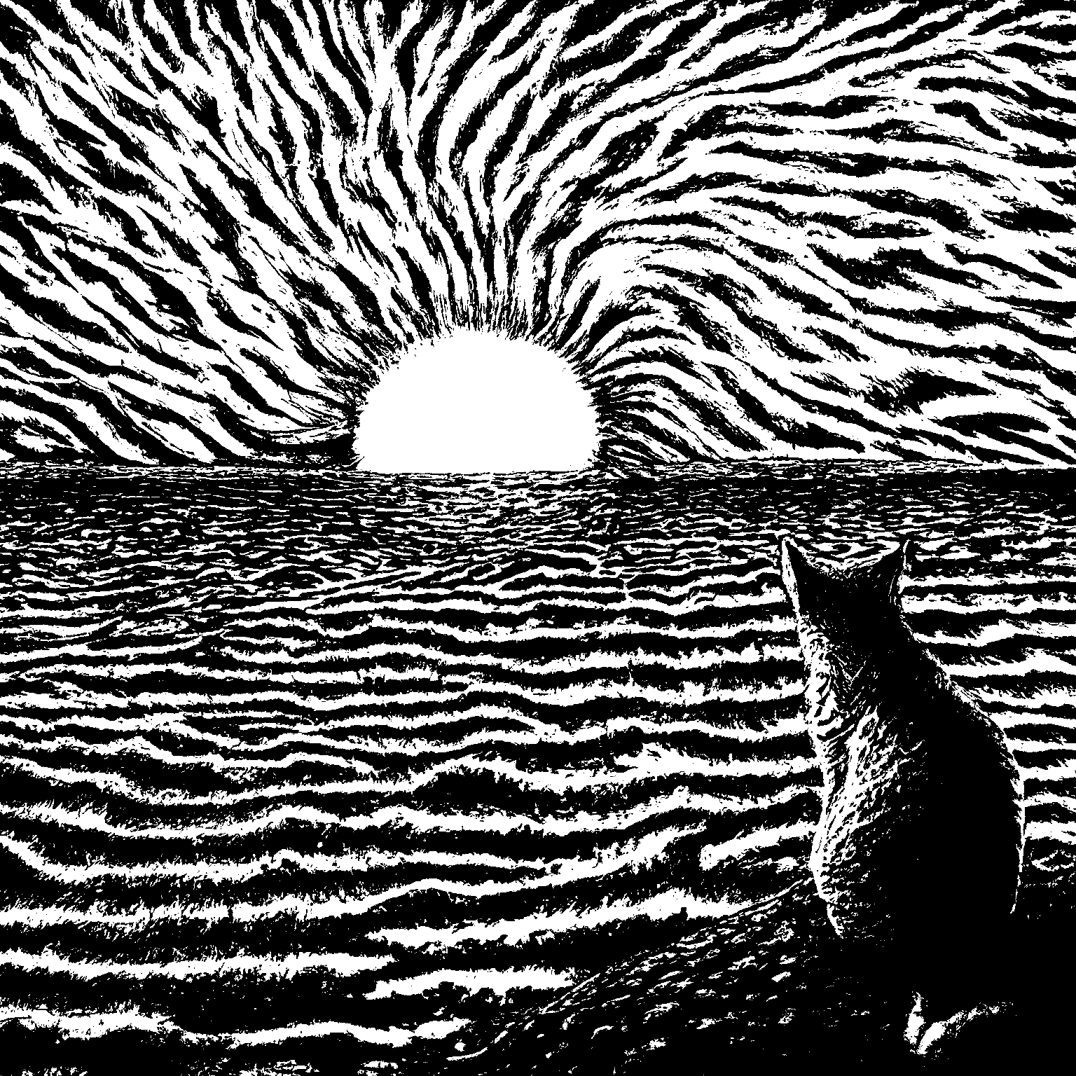 Ginger cat sunrise by the sea • Peak global warming