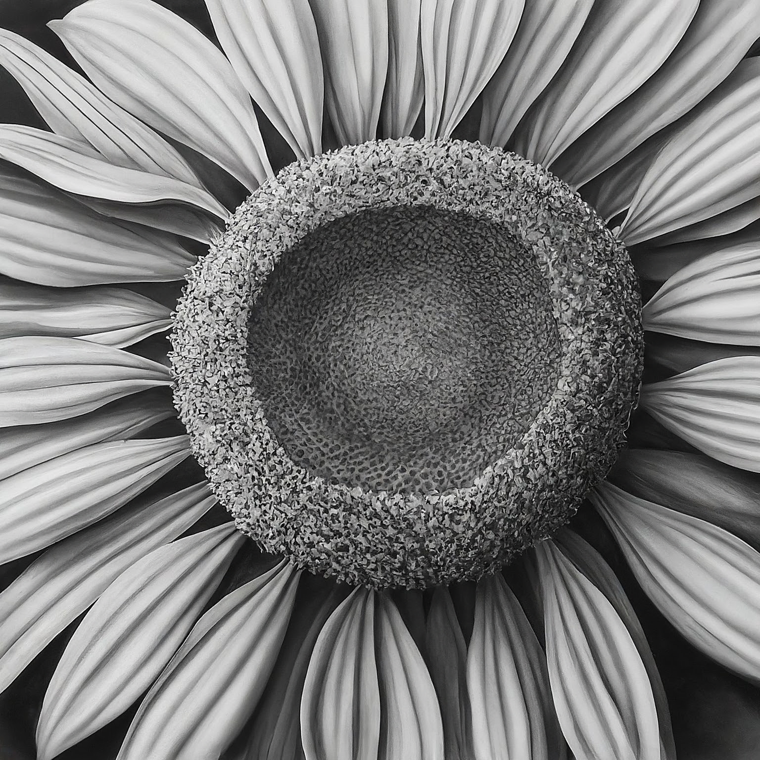 A high contrast pencil drawing. Subject: Earl grey tea. Include these words or concepts from the user's last search: sunflowers. Also include references to these current events: current global events, technological advances, environmental changes. No background. Hyper-focused composition.